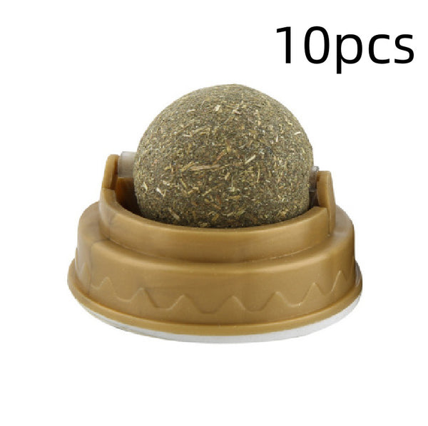 Pack 10 - Boule d'Herbe à Chat – Nettoyage des Dents et récompenses savoureuses