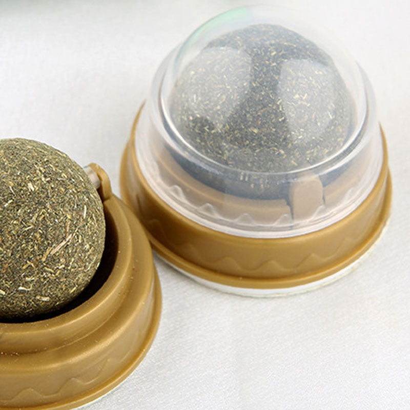 Pack 10 - Boule d'Herbe à Chat – Nettoyage des Dents et récompenses savoureuses