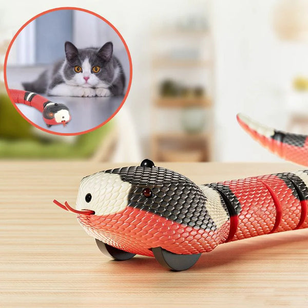 KITTYSNAKE – Jouet Interactif pour Chat en forme de Serpent