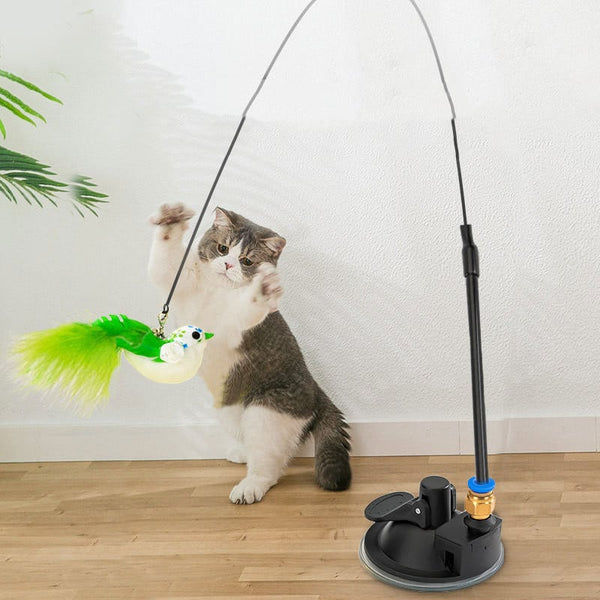 CHAT TOUT FOU - Bâton Amusant Oiseau pour Chat avec Ventouse