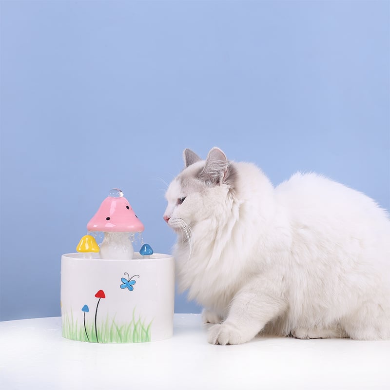 Fontaine à Eau Chauffante pour Chat