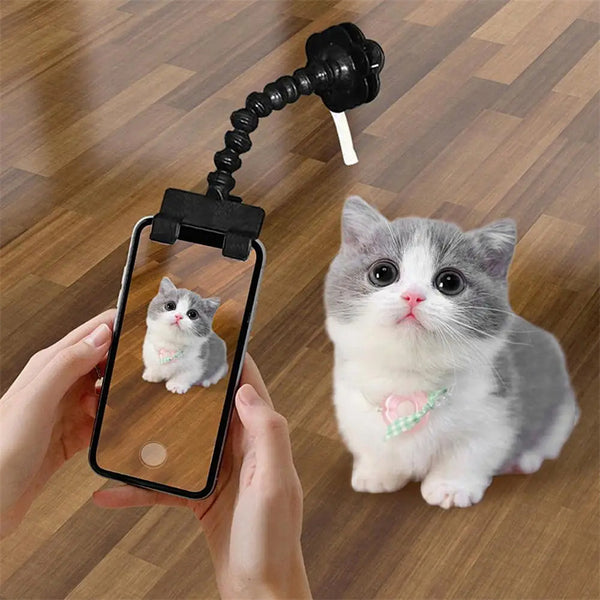 SELFIE CAT- L’Accessoire idéal pour Capturer les Meilleurs Moments de votre chat