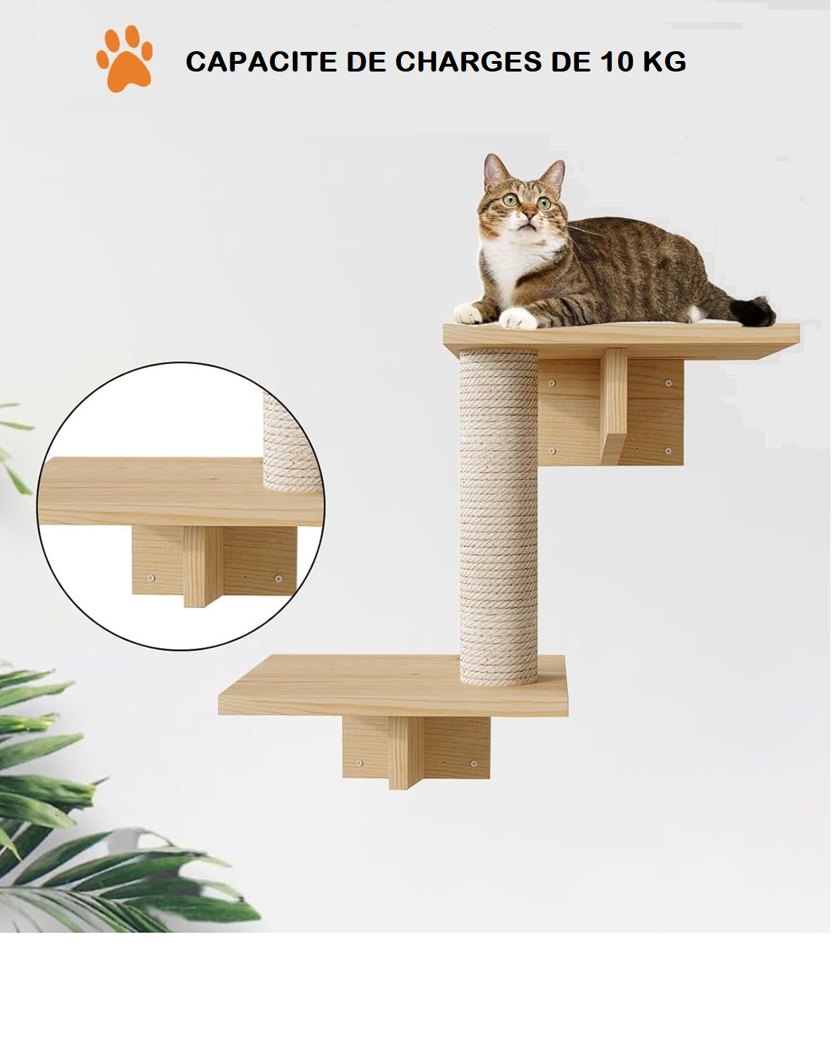 MoonNest - Mur d’Escalade Élégant pour Chats