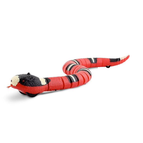 KITTYSNAKE – Jouet Interactif pour Chat en forme de Serpent