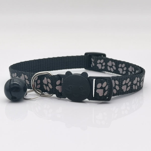 Collier lumineux nocturne pour chat