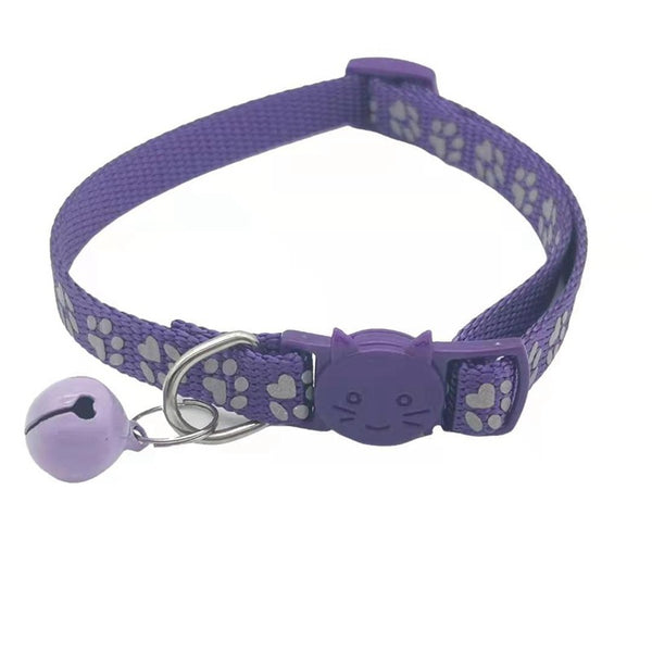 Collier lumineux nocturne pour chat