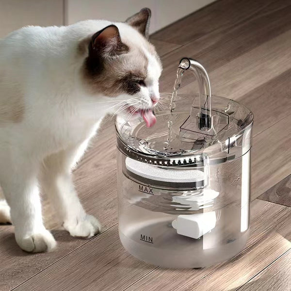 Distributeur d'Eau Automatique pour Chat - Circulation Intelligente et Température Constante