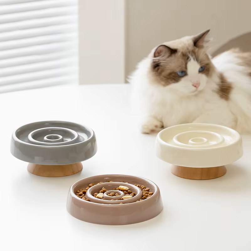 Gamelle Zen INSTANT PRÉSENT – Offrez à votre chat des repas plus Lents pour qu'il Savoure chaque Bouchée