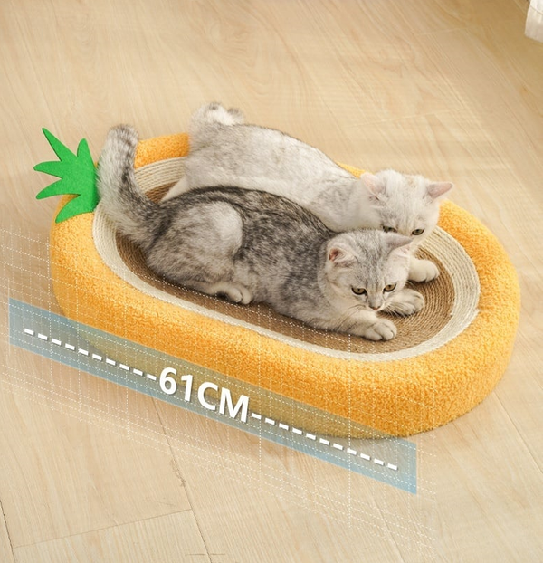 Planche à Gratter pour Chat en Sisal avec Nid Rond Résistant à l’Usure