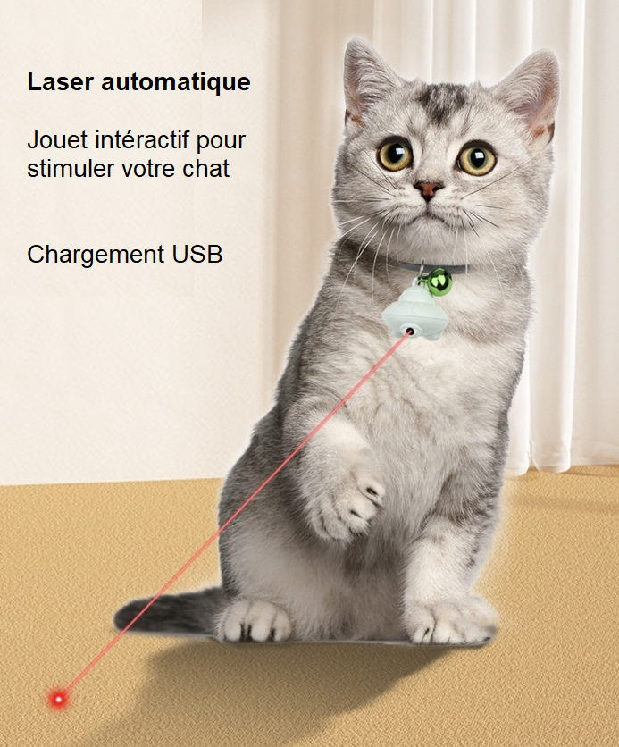 Jouet Soucoupe Volante Laser pour Chat