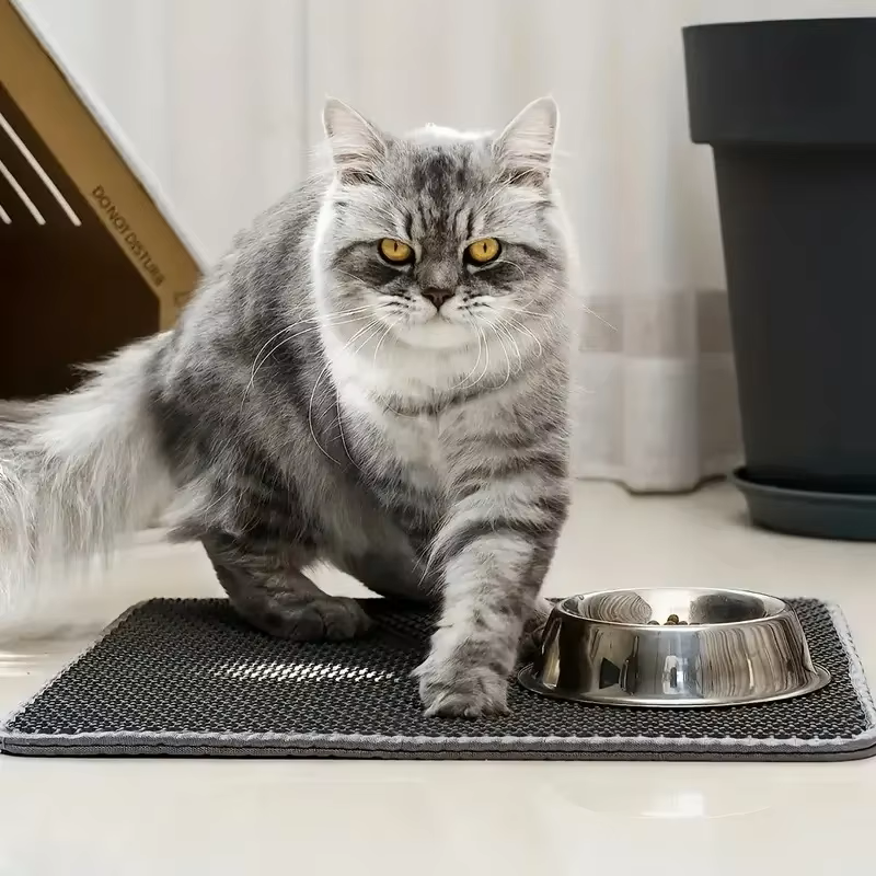 Le Tapis de Litière parfait : Une solution Propre et Confortable pour votre chat