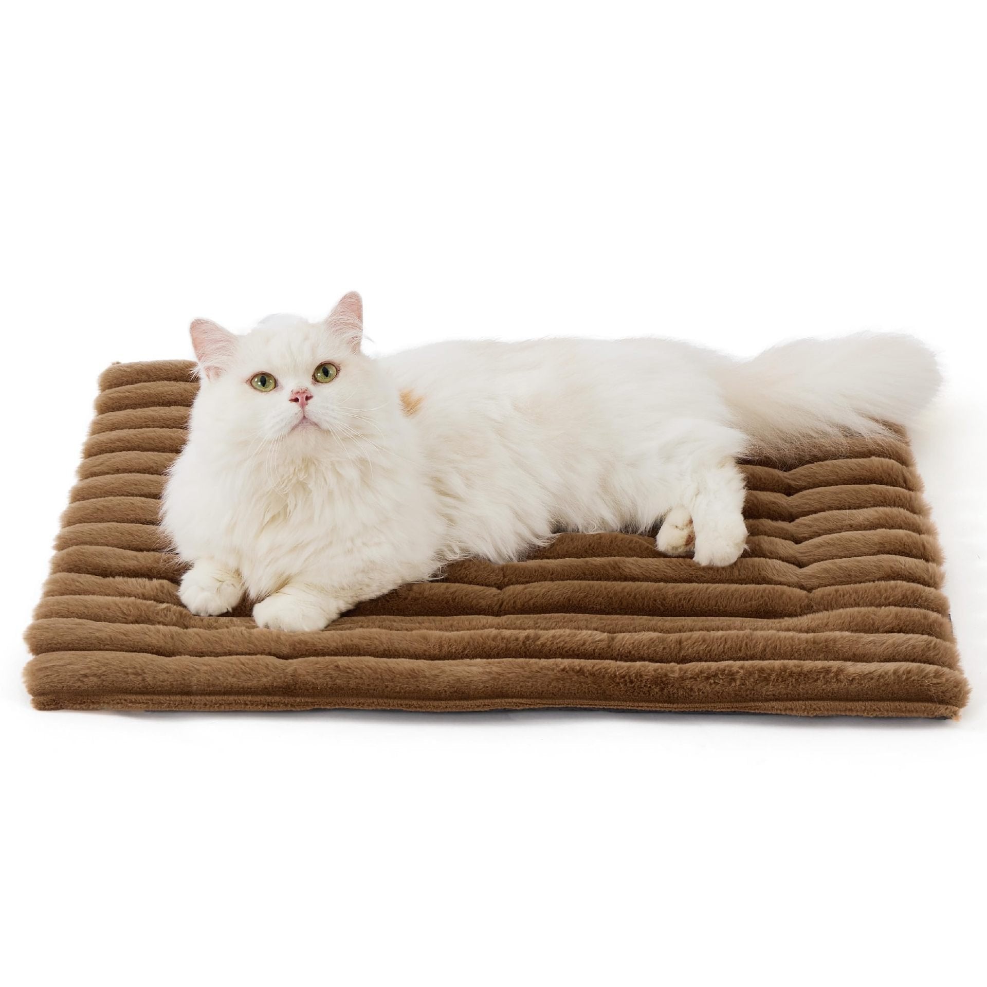Tapis thermique extra chaud pour chat intérieur et extérieur, antidérapant