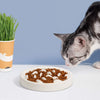 Bol Anti-Glouton pour Chat
