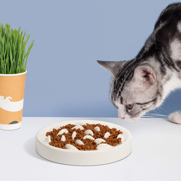 Bol Anti-Glouton pour Chat