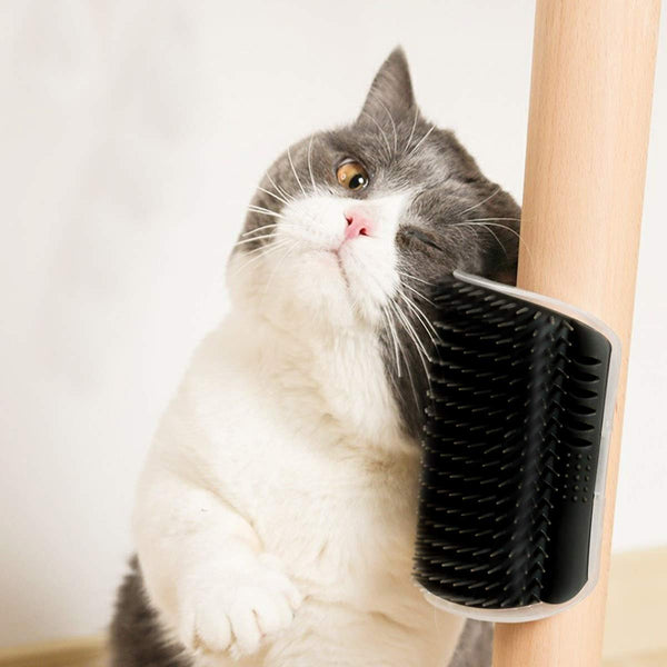 Brosse Autonettoyante et Arché de Toilettage pour Chats