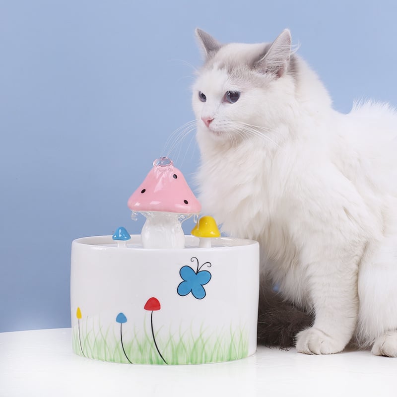 Fontaine à Eau Chauffante pour Chat