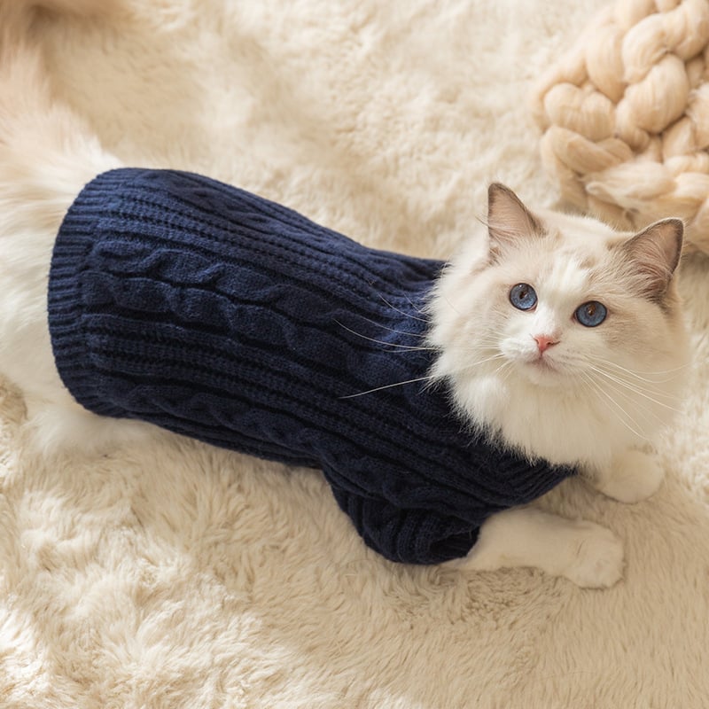 Pull d'hiver pour chat tricoté - Collection 2025