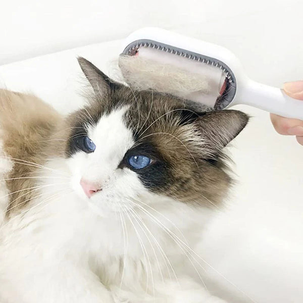 MAGICBRUSH - Brosse ultime pour poils de chat  - 3 en 1 avec réservoir d'eau