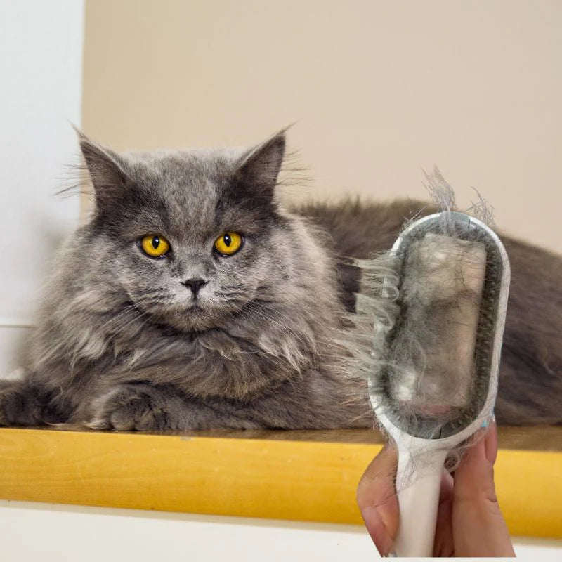 MAGICBRUSH - Brosse ultime pour poils de chat  - 3 en 1 avec réservoir d'eau