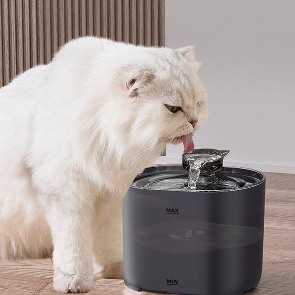 Fontaine à eau automatique pour chat