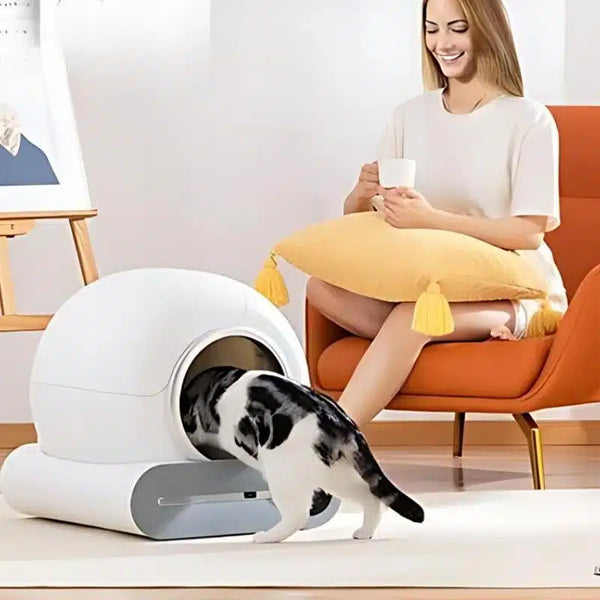 Litière pour Chat Autonettoyante - Offrez un Confort Optimal à Votre Chat !