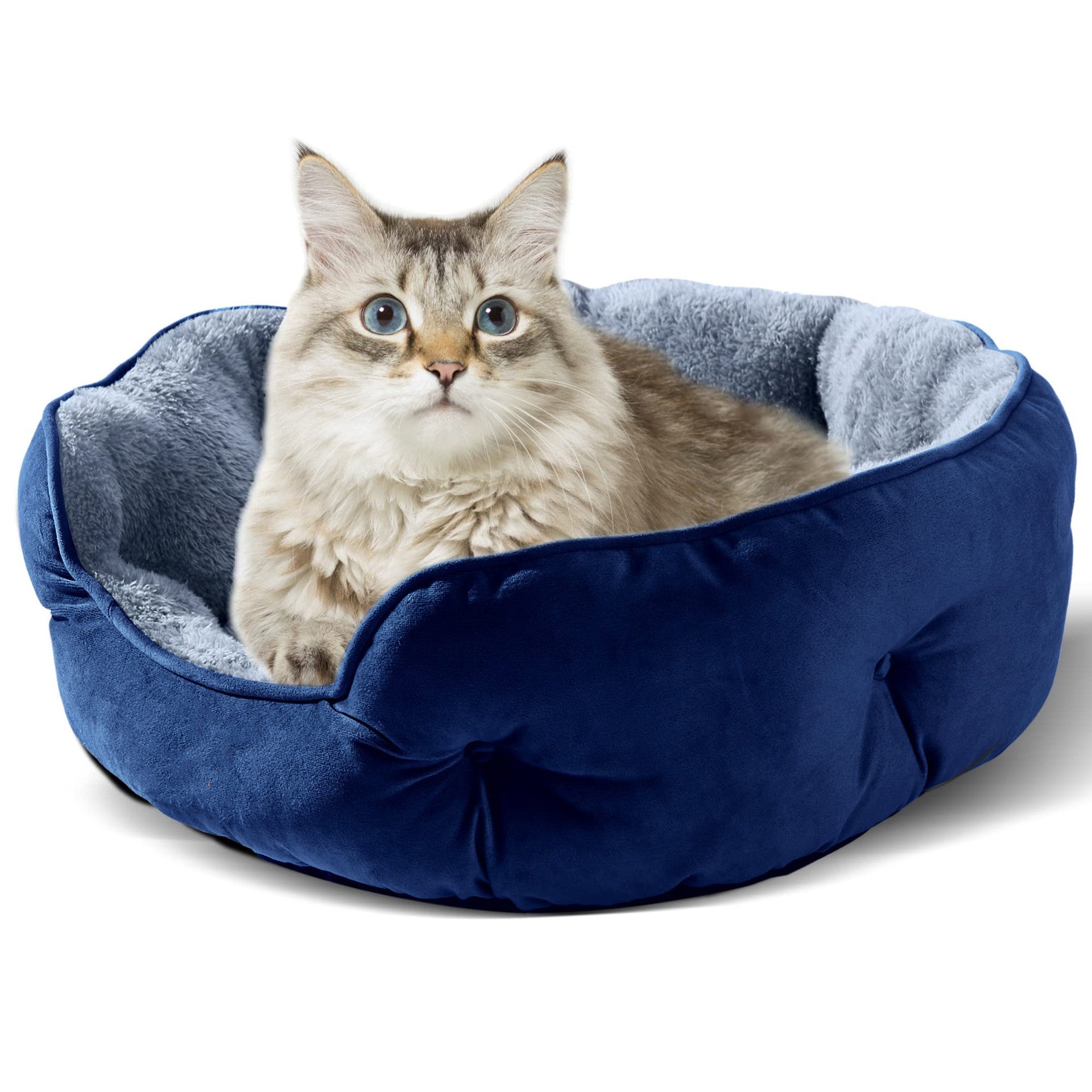 Lit rond douillet pour chat