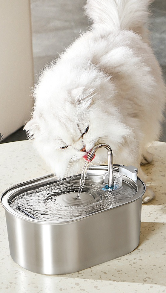 Distributeur d'Eau Automatique pour chats - 3,2L en acier inoxydable