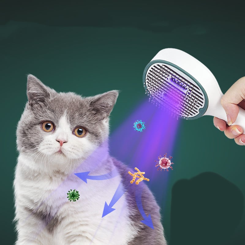 Brosse à poils et nettoyant pour chat