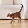 Collier Laser pour Chat - Jouet Interactif