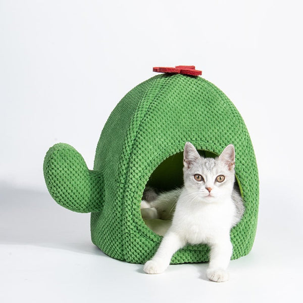 Niche Cactus Fermée et Confortable pour Chats - Parfaite pour l'Hiver