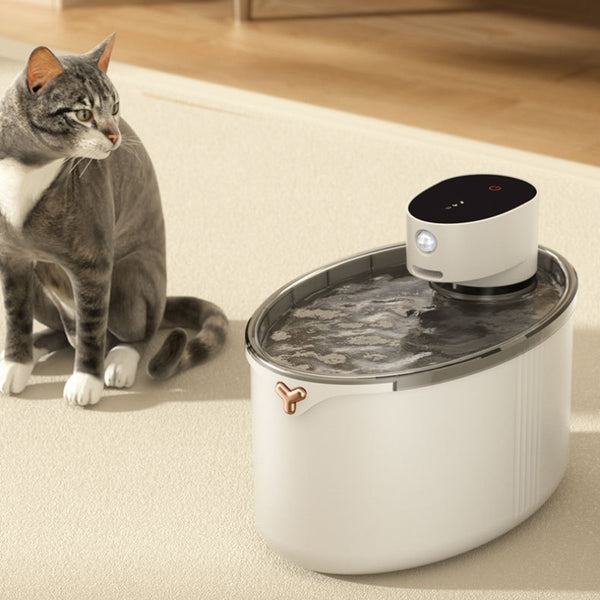 Premium - Distributeur d'Eau Intelligent sans Fil pour chat