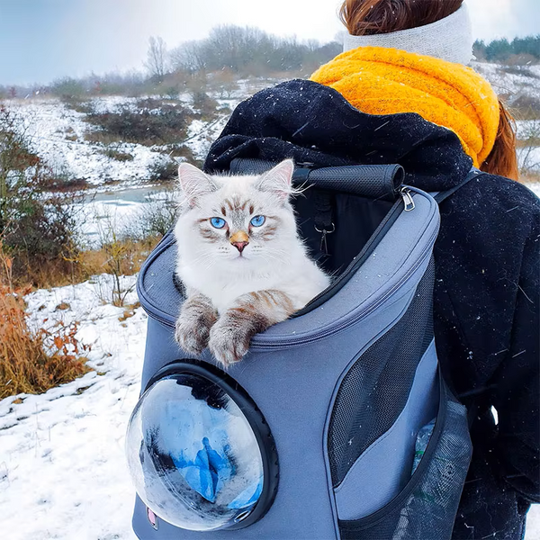 KITTYBAG : Le sac à dos parfait pour vos sorties avec votre chat