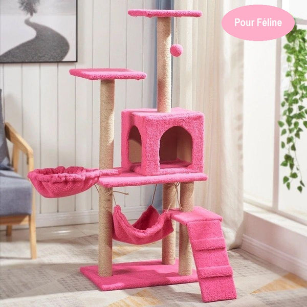 Escalade pour Chat et Arbre à Gratter  – Rose Pétillant