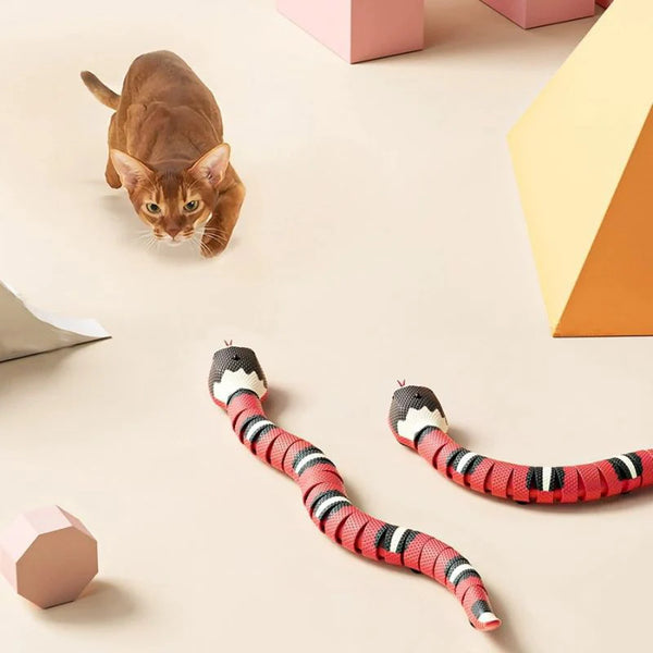 KITTYSNAKE – Jouet Interactif pour Chat en forme de Serpent