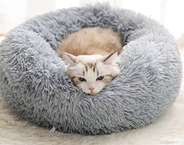 Miaou Cocooning - Le Lit Confortable pour chats