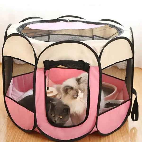 Parc pour Chat - Sécurité, Confort et Espace de Jeu !